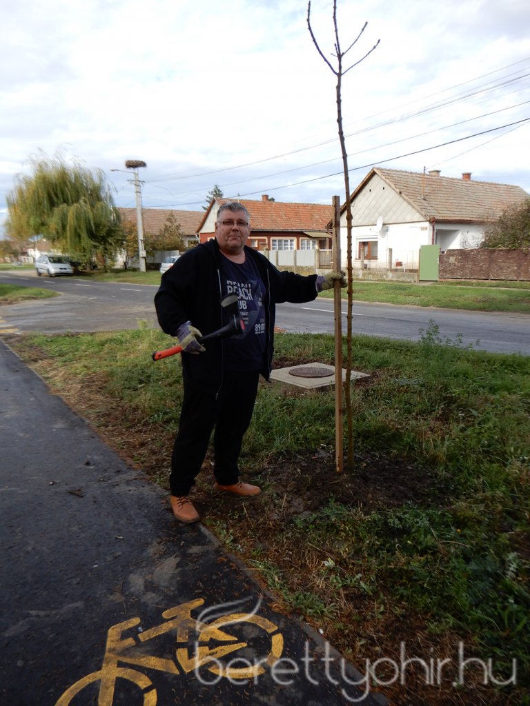 Közösségi faültetés Berettyóújfaluban 14